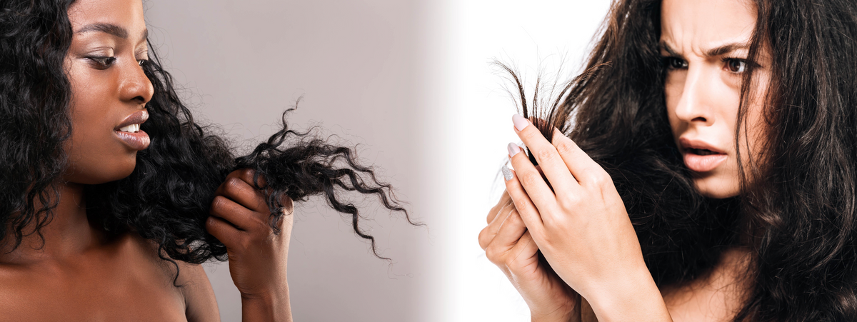 DEHYDRATED HAIR V.S. DAMAGED HAIR: Everything You Need To Know To Repa ...